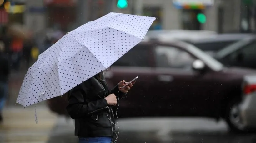 Источник: Фотобанк Московской области, Александр Кожохин