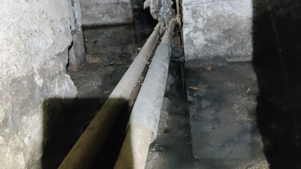 Фото: соцсети