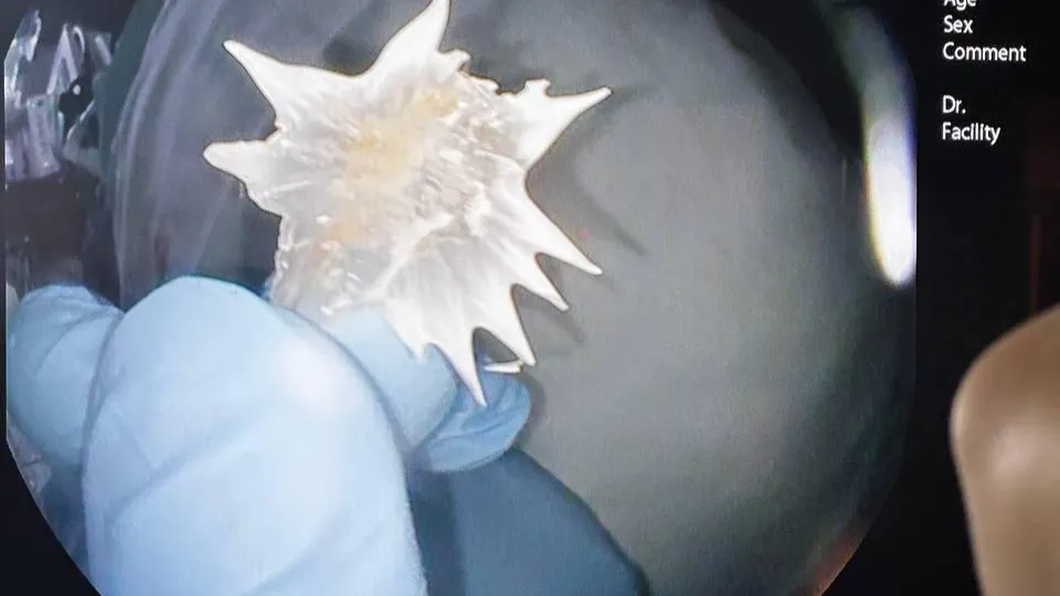 Фото: пресс-служба Раменской больницы