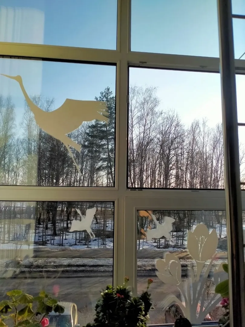 Фото: ДШИ&nbsp;«Фламинго»