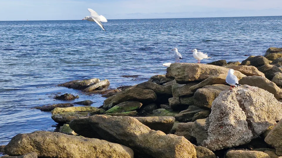 Фото: REGIONS/Наталия Надточая