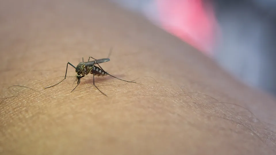 Фото: freepik.com