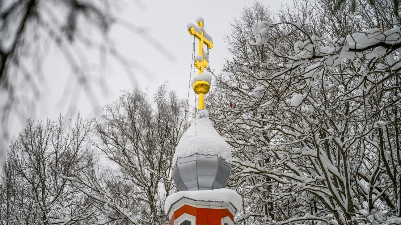 медиасток.рф