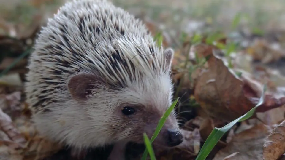 Фото: Наталья Тенькова
