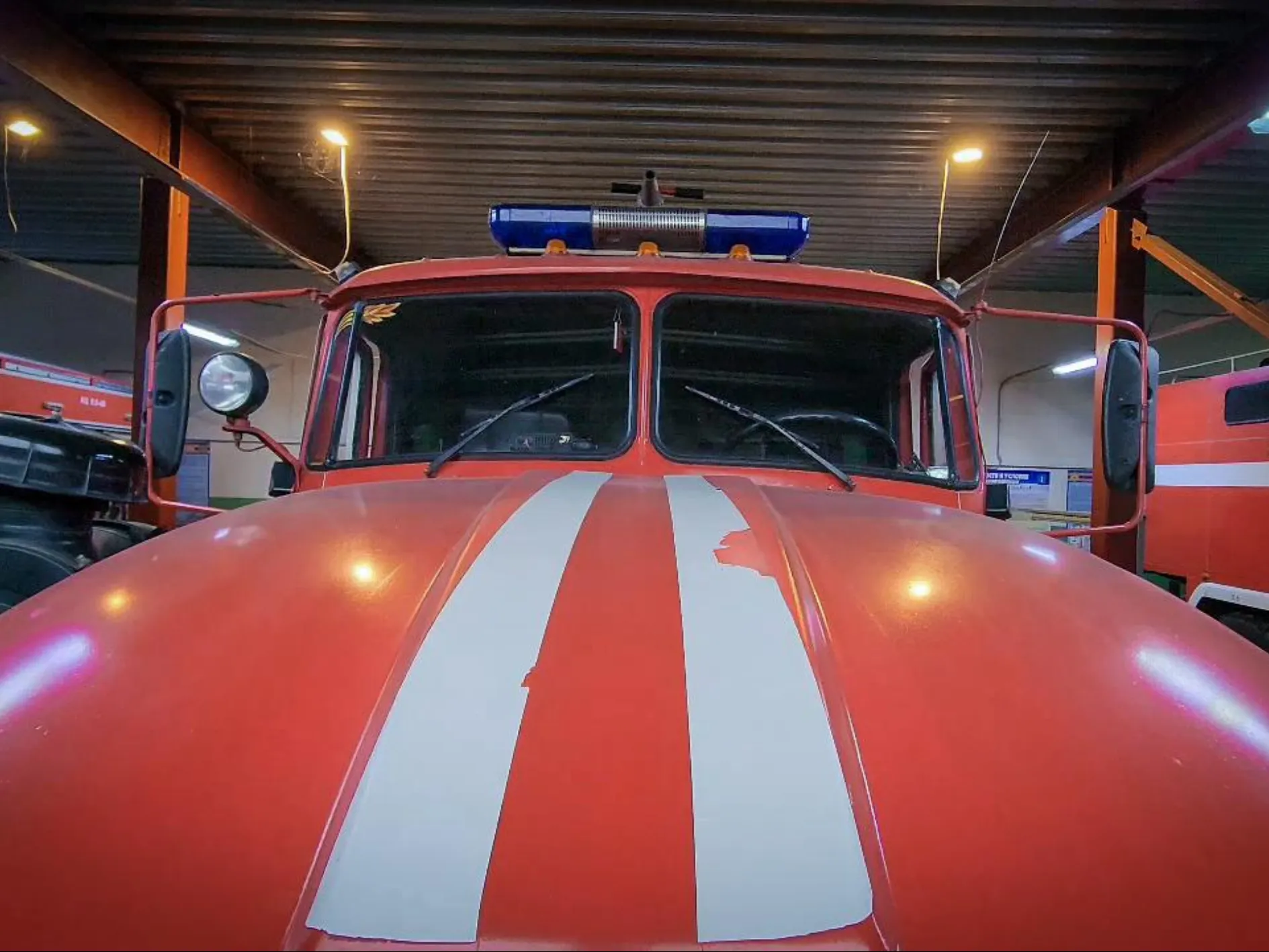 Фото: МедиаБанк Подмосковья/Ольга Антонова