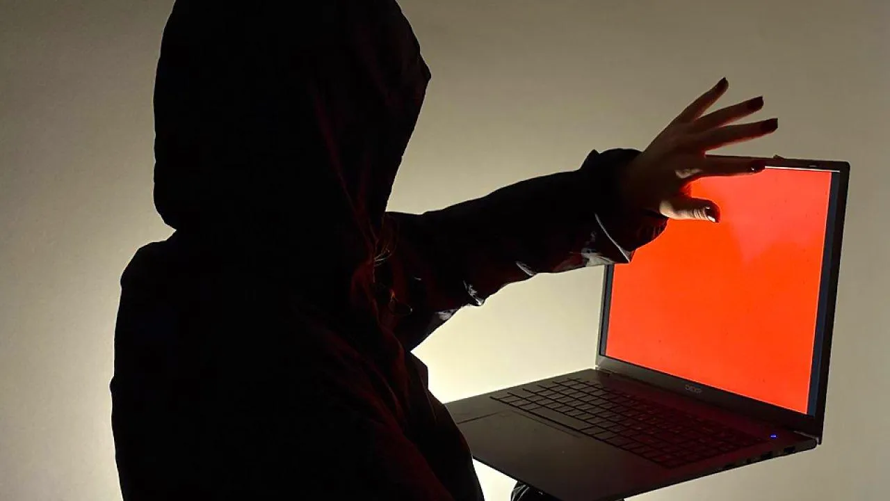 REGIONS/Полина Крачун