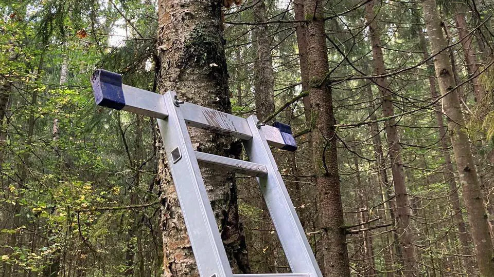 Фото: из личного архива Владимира Чернова