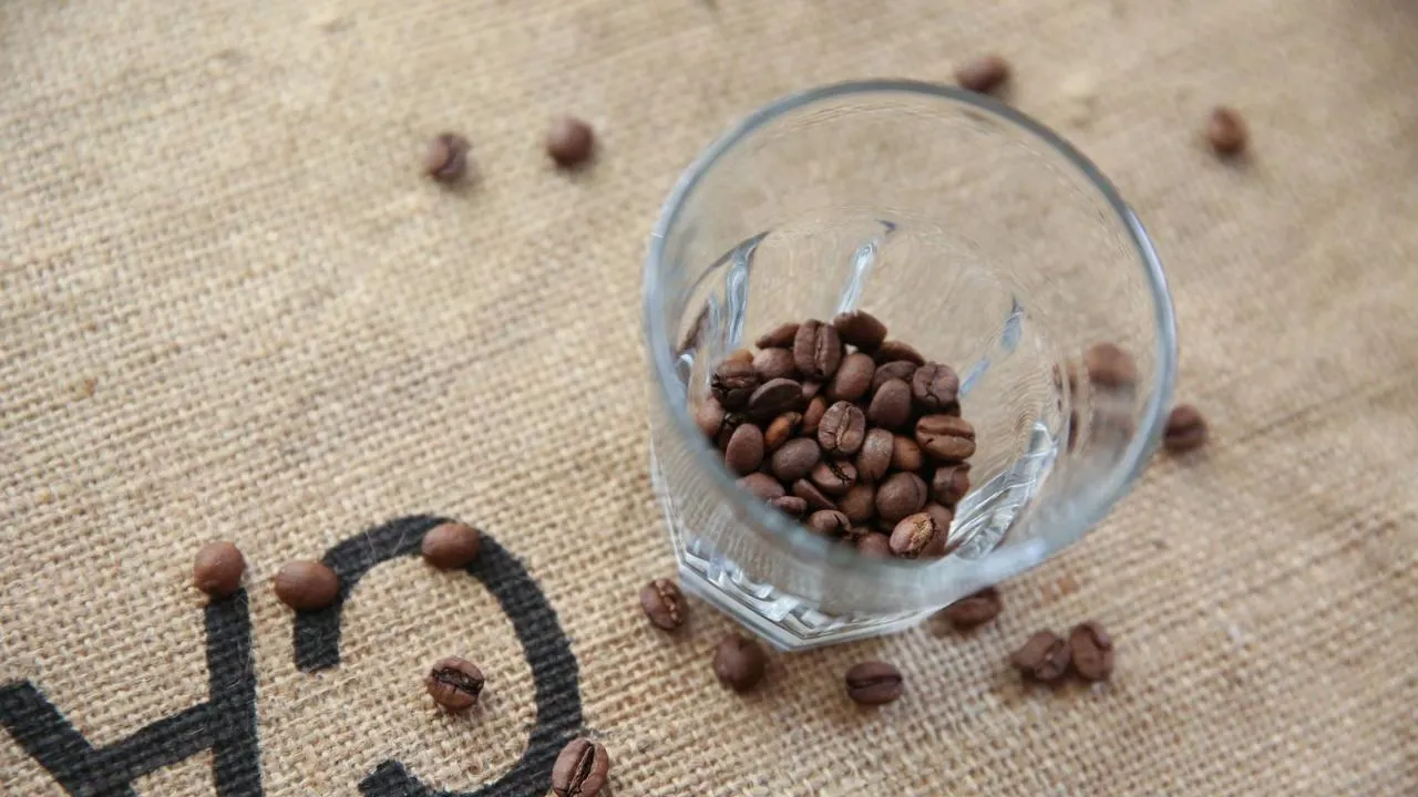 медиасток.рф