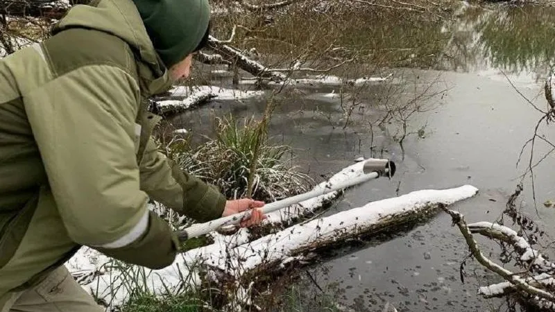 Фото: Минэкологии МО