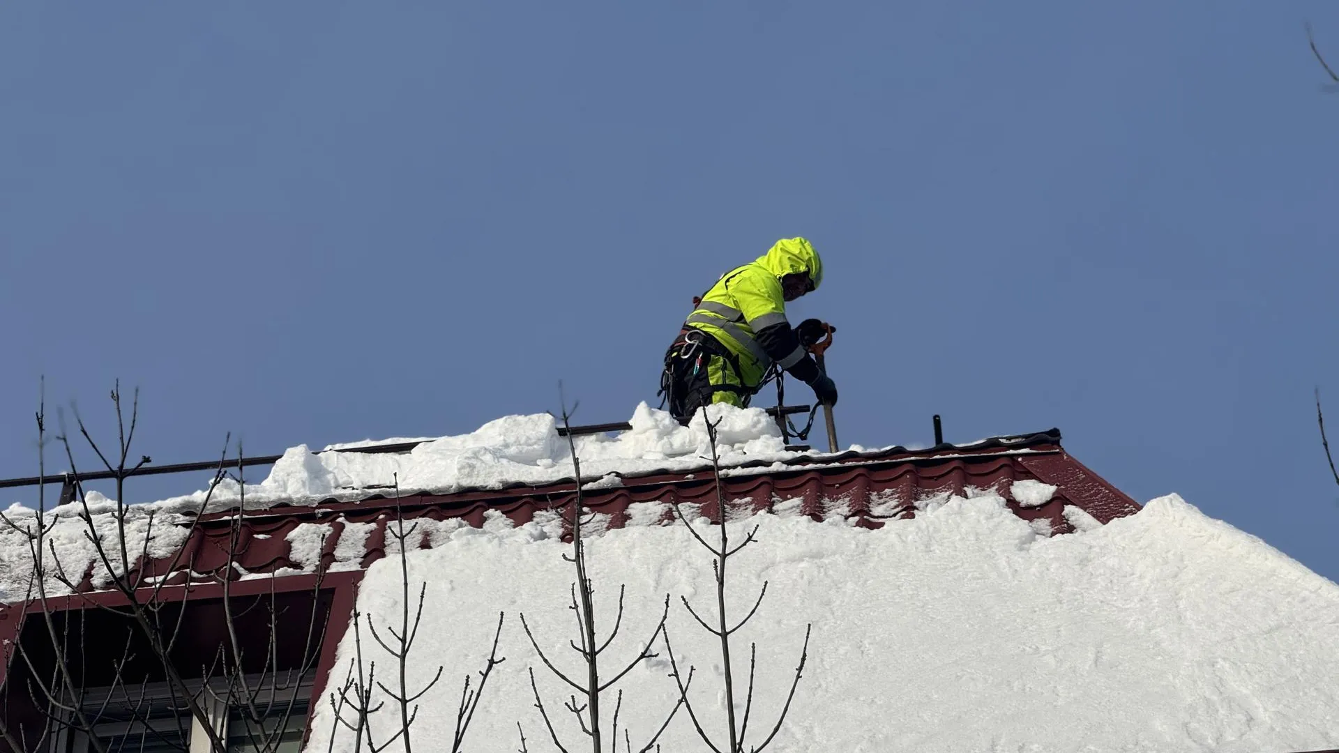Полина Абраменко