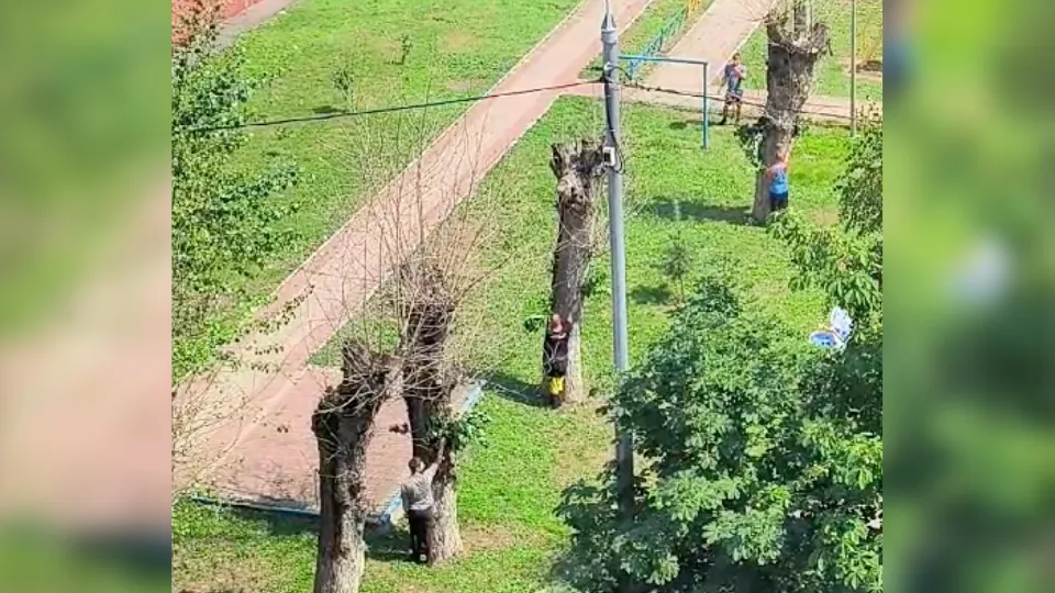 Фото: Кузовлева Татьяна