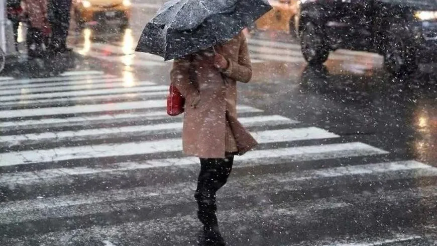 Фото: пресс-служба дминистрации г.о. Мытищи