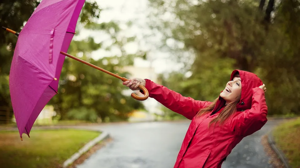 Фото: frerepik.com