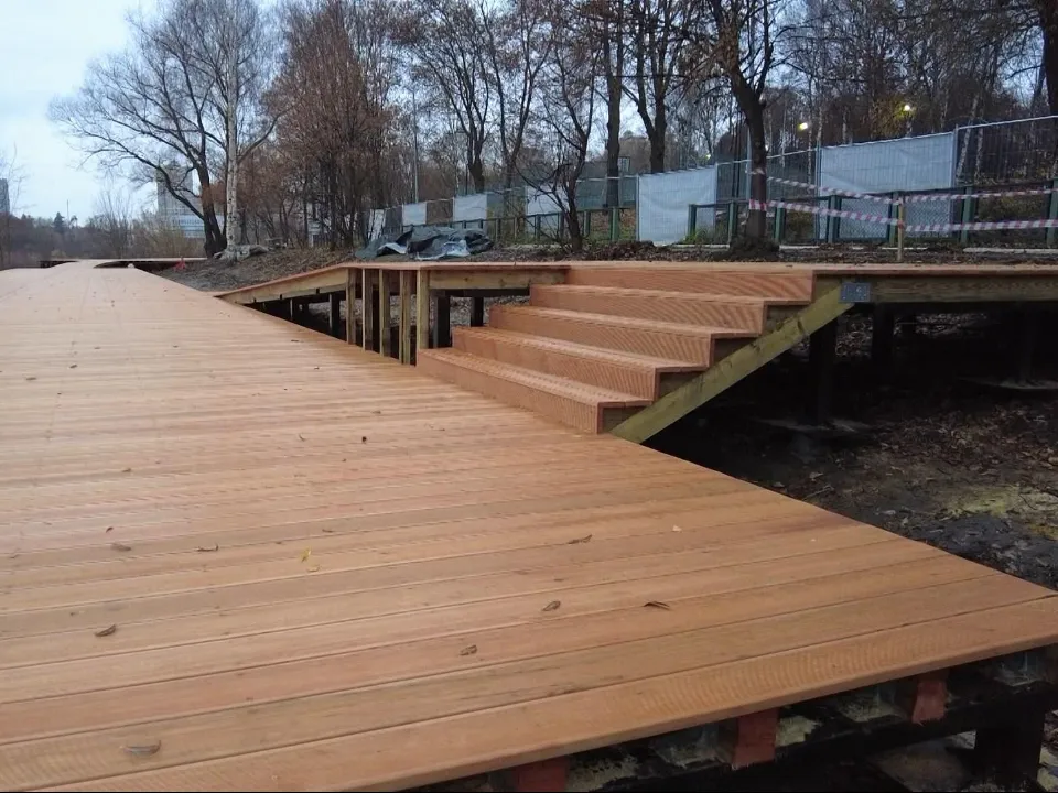 Фото: Раменский медиацентр