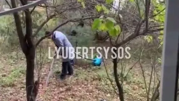 Пылесосившая газон женщина удивила соседей в Люберцах