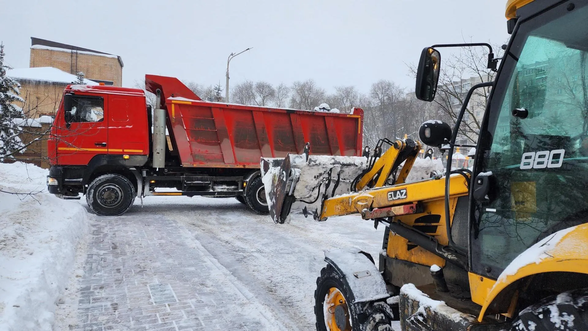 Фото: МедиаБанк Подмосковья/Ирина Моисеева
