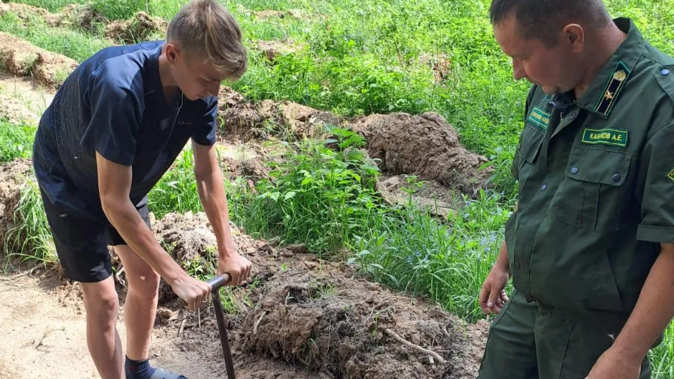 Фото: Комитет лесного хозяйства МО