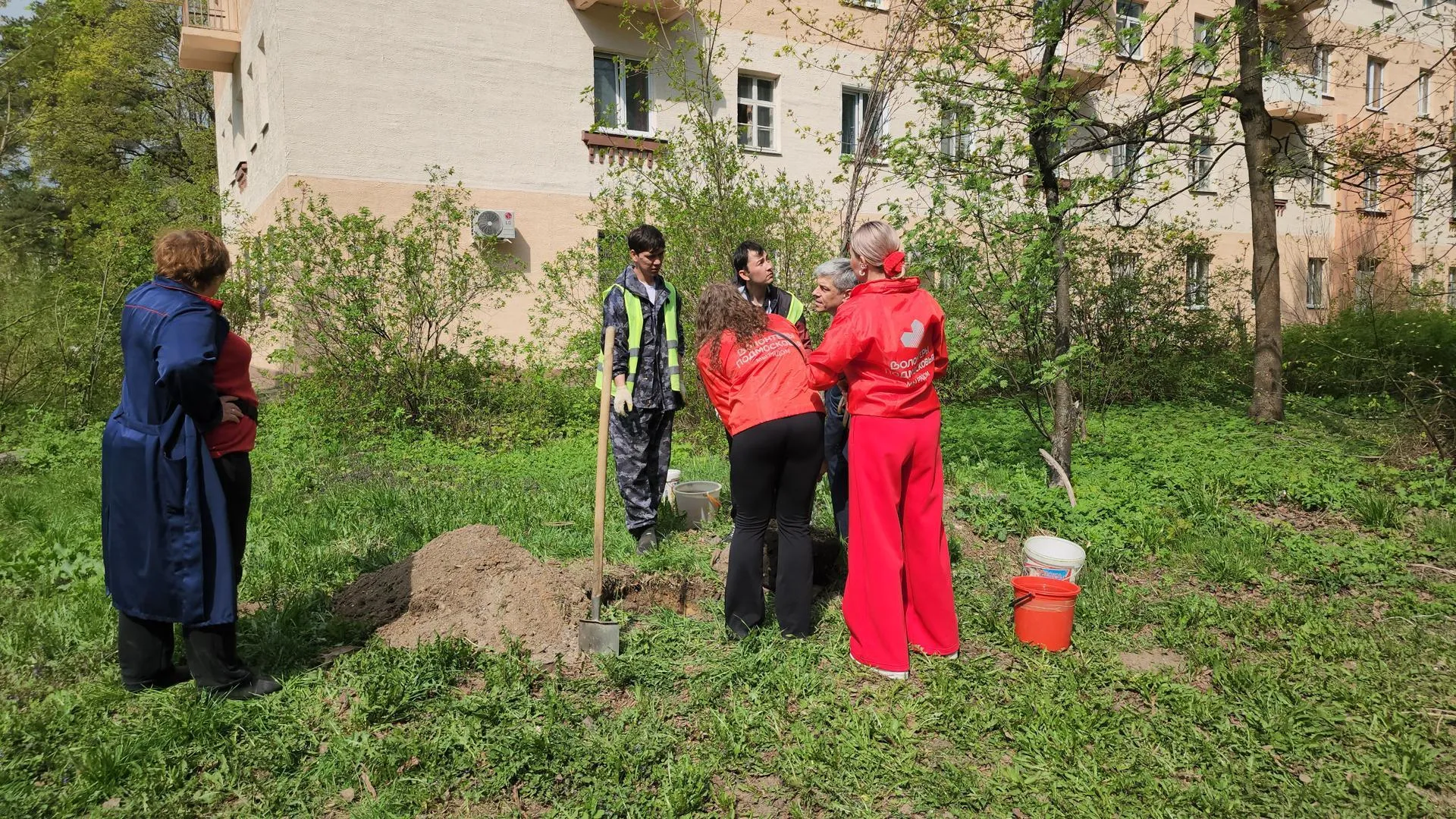 Картинка