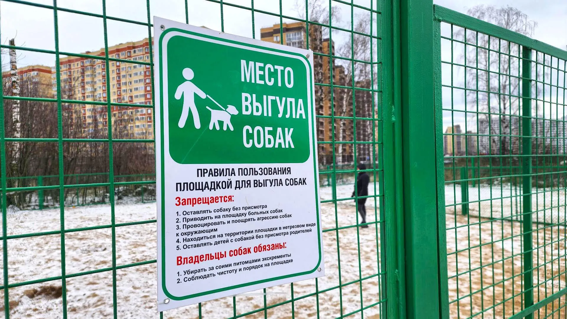 Фото: Валерия Тингаева