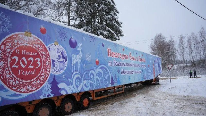 Главную елку страны отправили из Волоколамска в Кремль