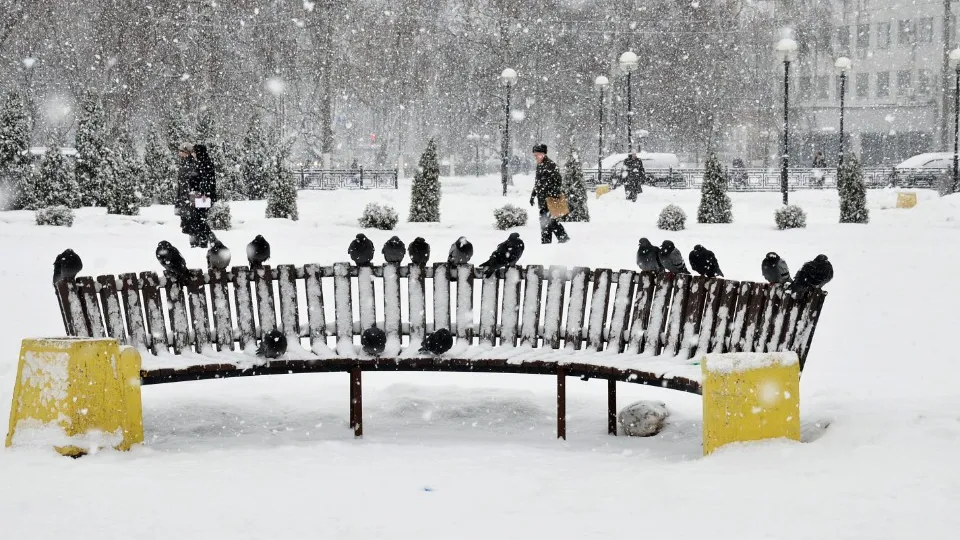 Фото: медиасток.рф