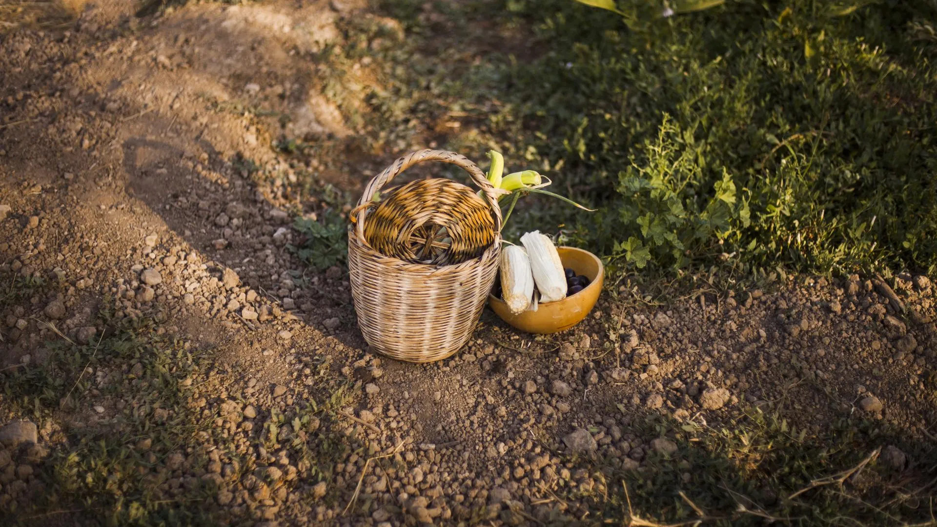 Инструктор по выживанию Алешкин назвал способы не потеряться и не умереть в лесу