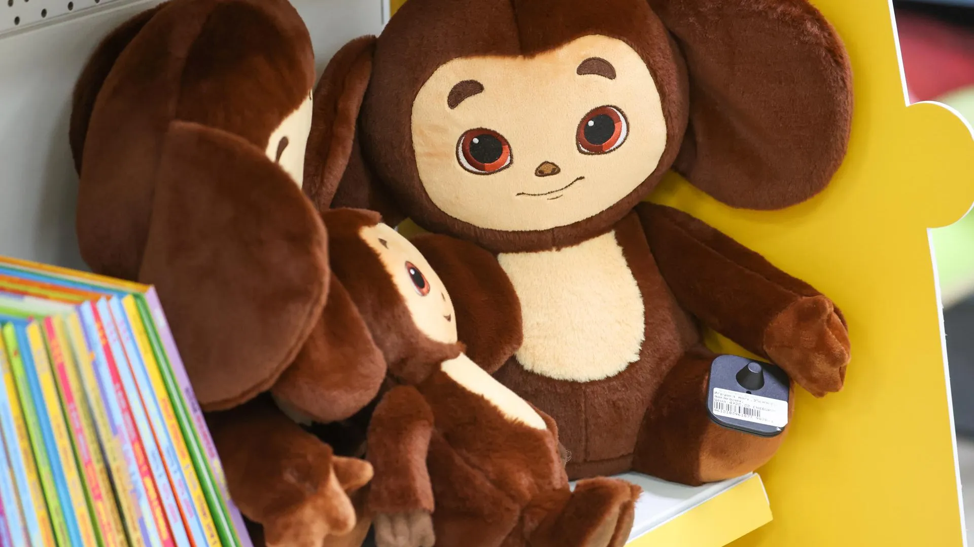 Belkin Alexey/news.ru