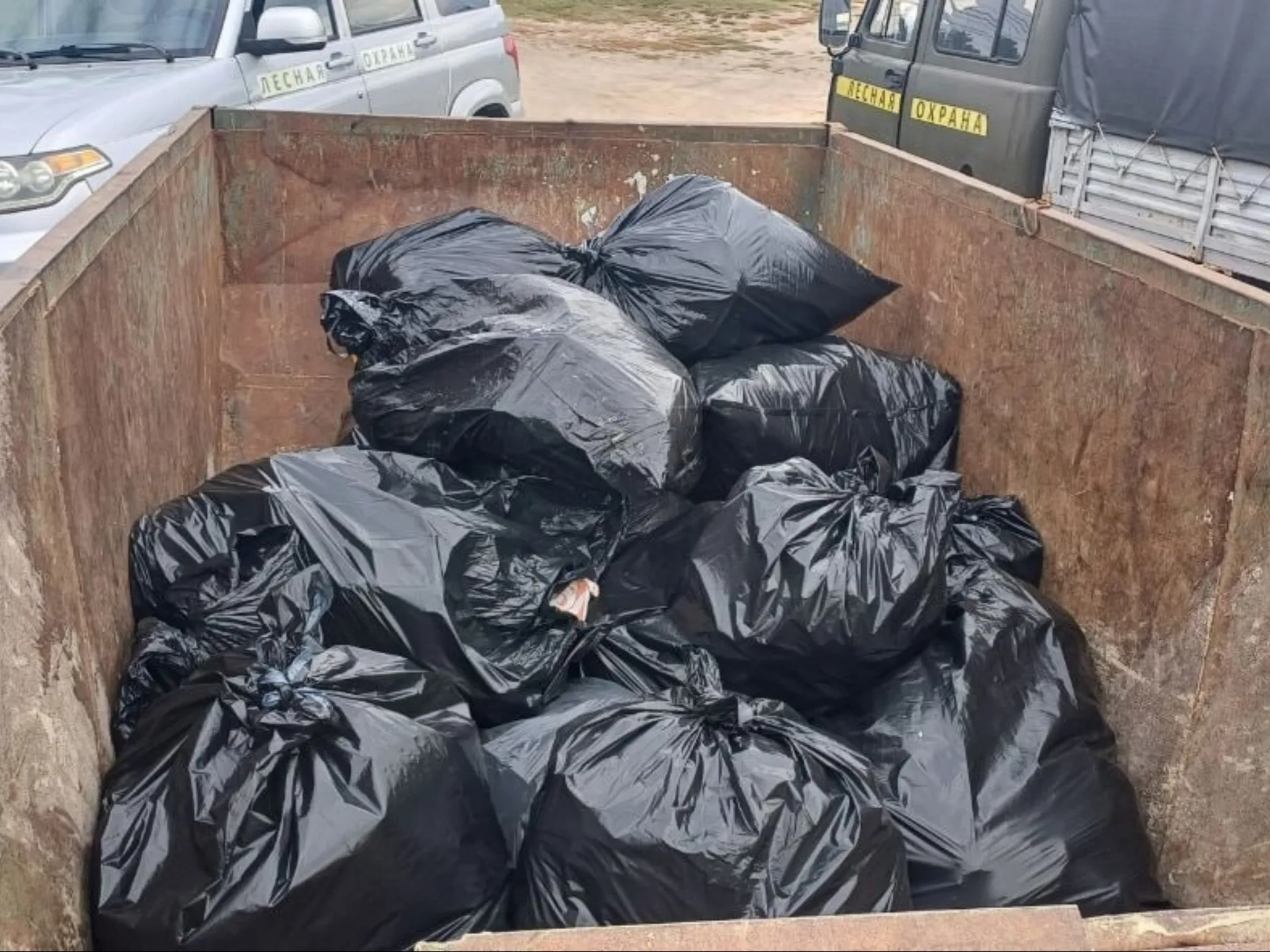 Фото: пресс-служба администрации г.о. Луховицы