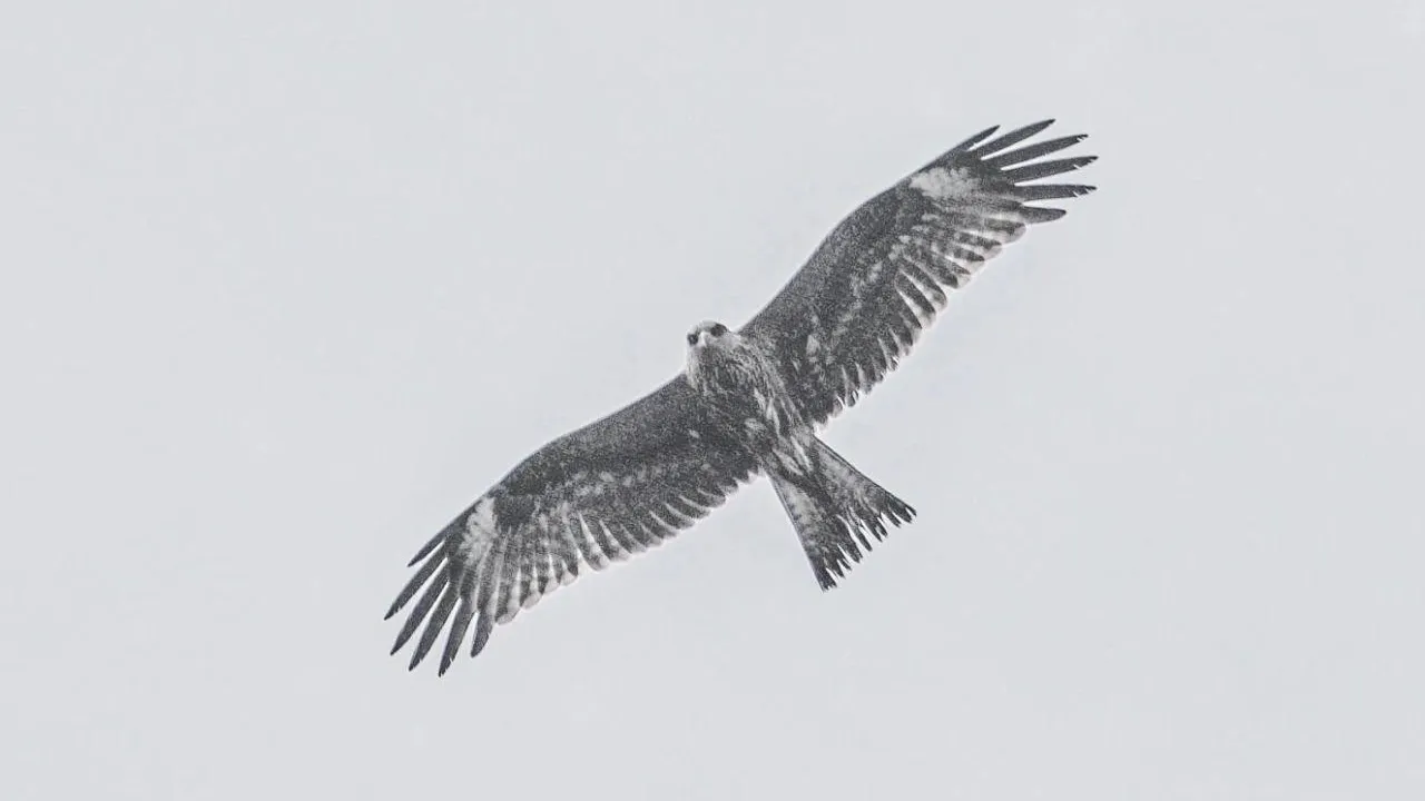 Фото: А.И. Ульянов