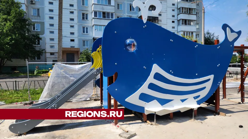 Фото: Дмитрий Алексеенко