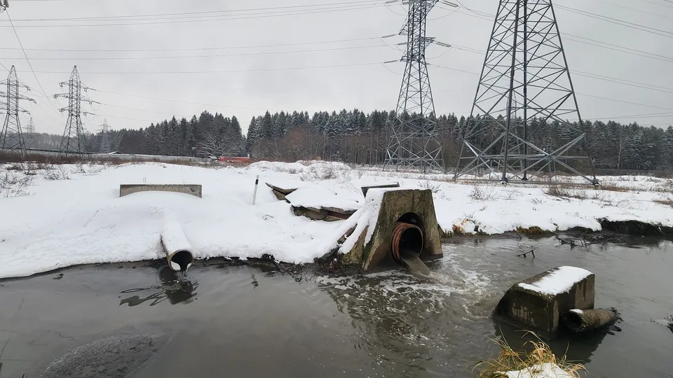 Фото: Никита Сморкалов