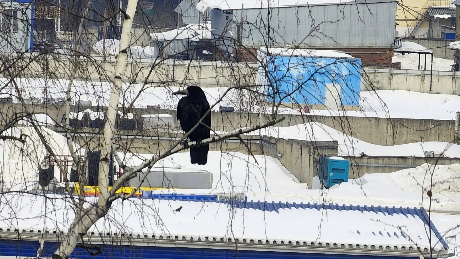 Фото: Соцсети