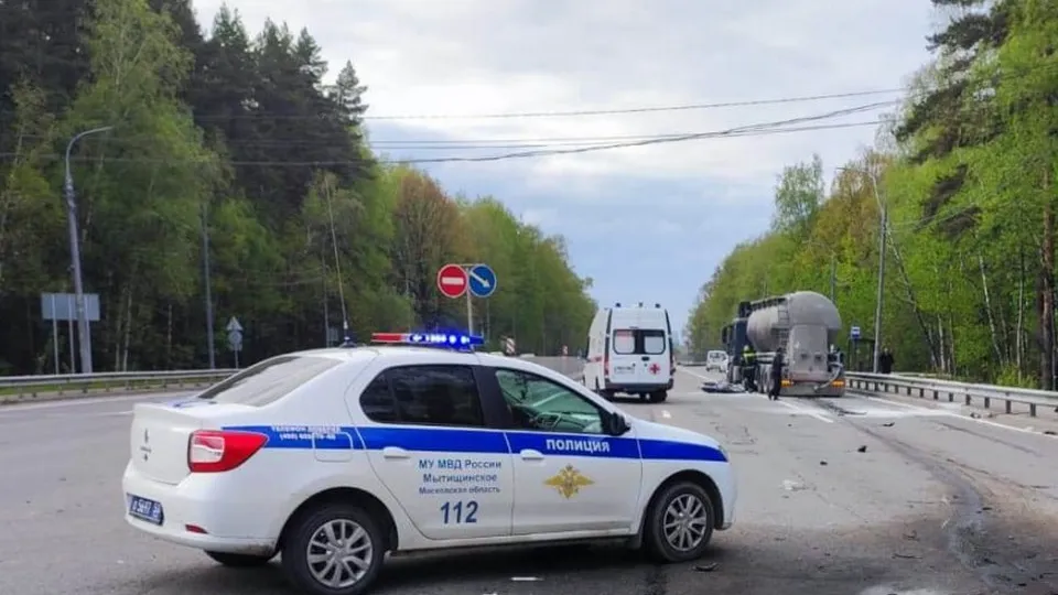 Фото: ГУ МВД России по Московской области