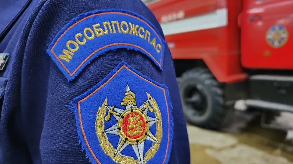 Фото: МедиаБанк Подмосковья / Валерия Тингаева