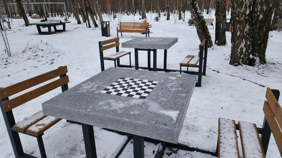 Фото: Дмитрий Алексеенко