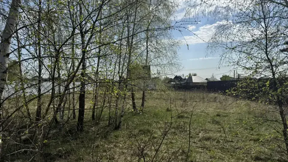 Фото: Единый портал торгов Подмосковья ЕАСУЗ