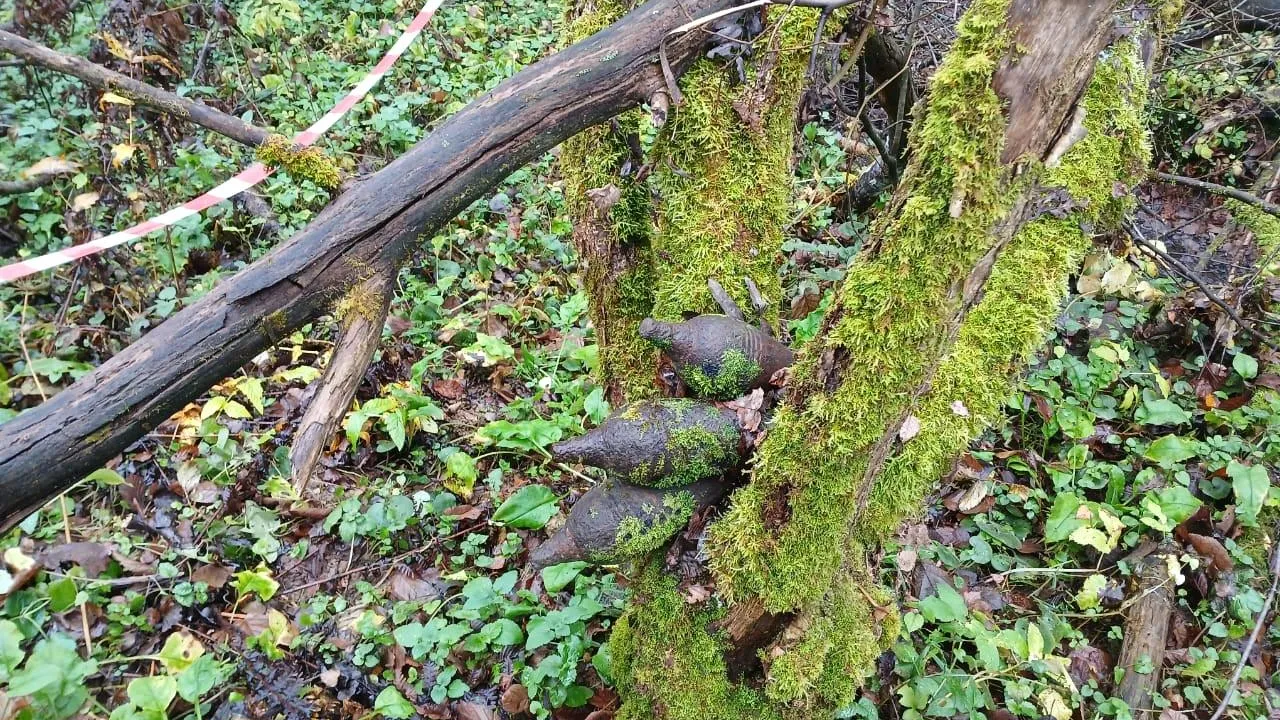 Фото: ГКУ МО «Мособлпожспас»