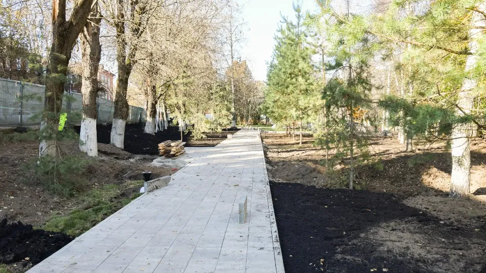 Фото: администрация Дмитровского городского округа