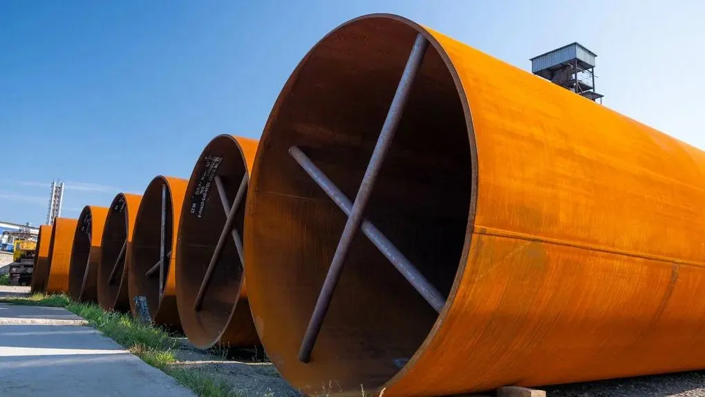 Алена Жамкова