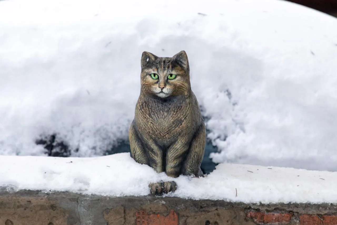 Фото: Александр Щербаков