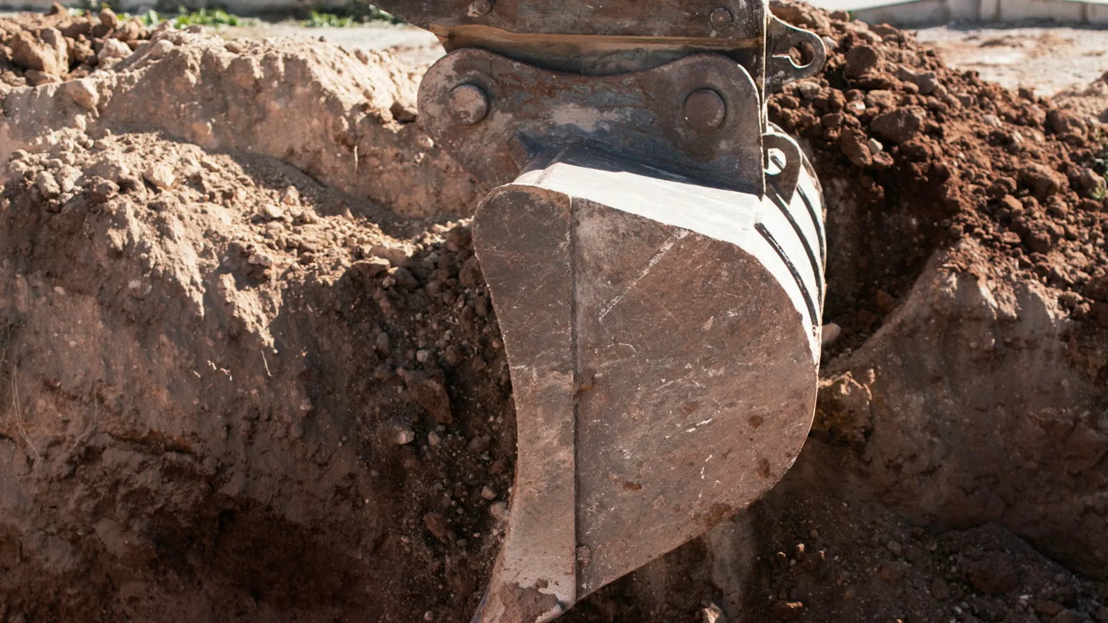 Фото: freepik.com