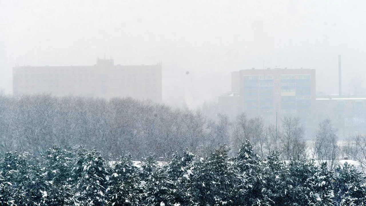 медиасток.рф