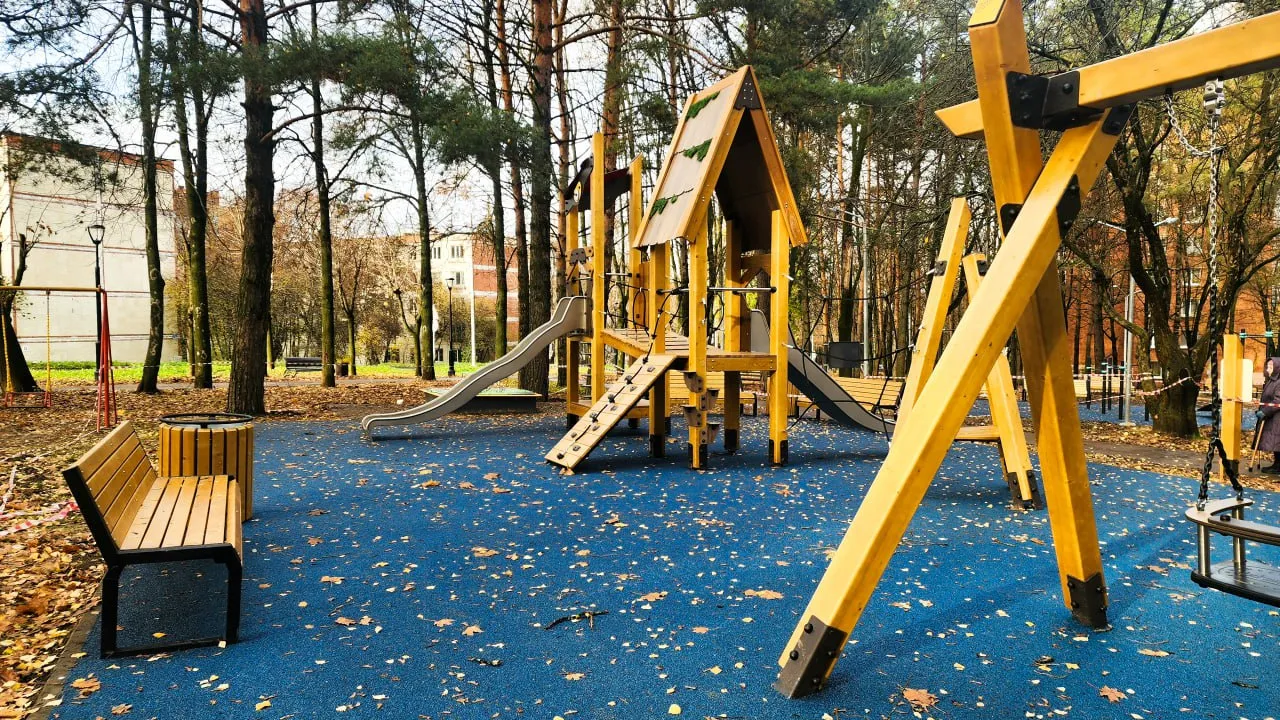 Фото: МедиаБанк Подмосковья/Мария Панина