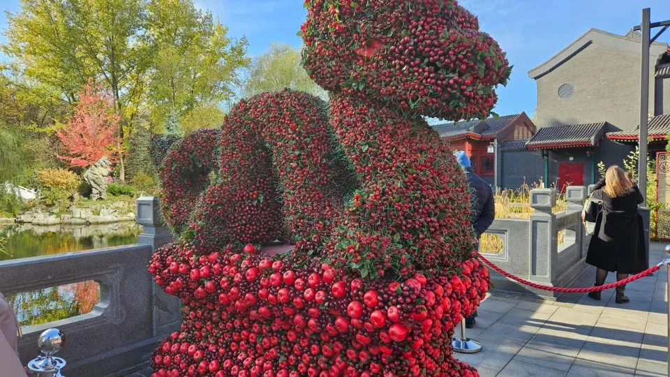 Фото: t.me/dolgoletie_domodedovo