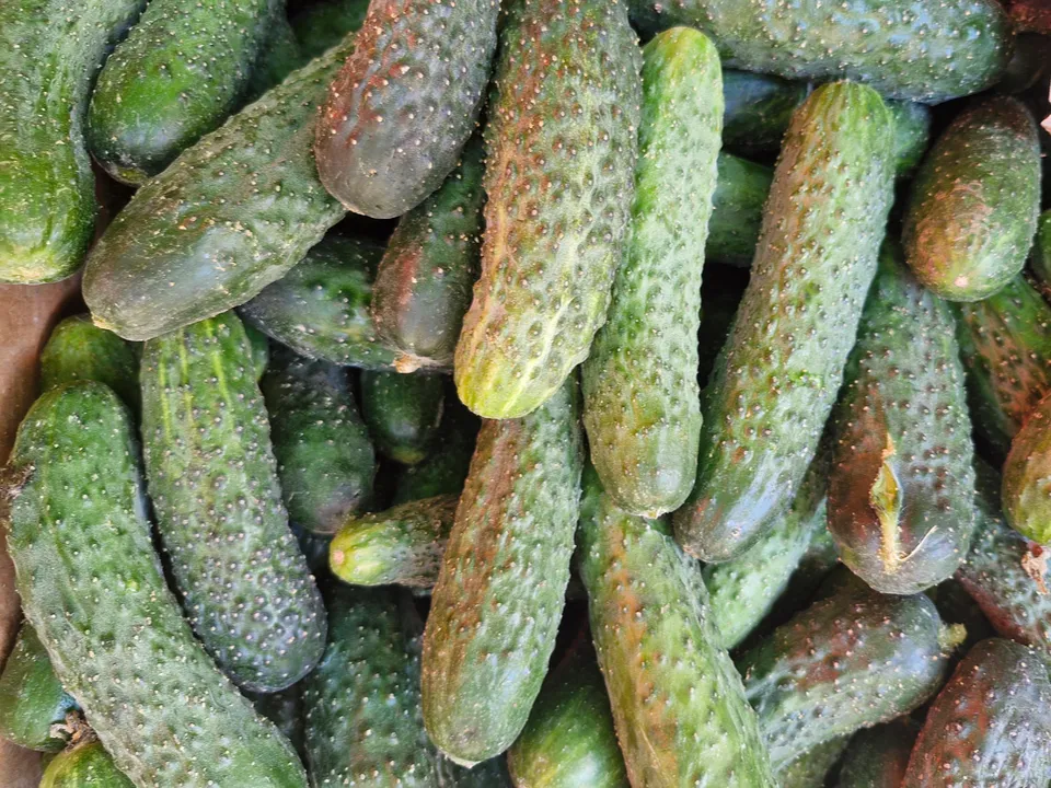 Фото: REGIONS/Наталия Надточая