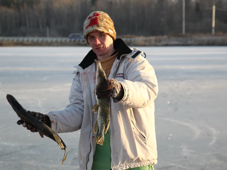 Фото: медиасток.рф