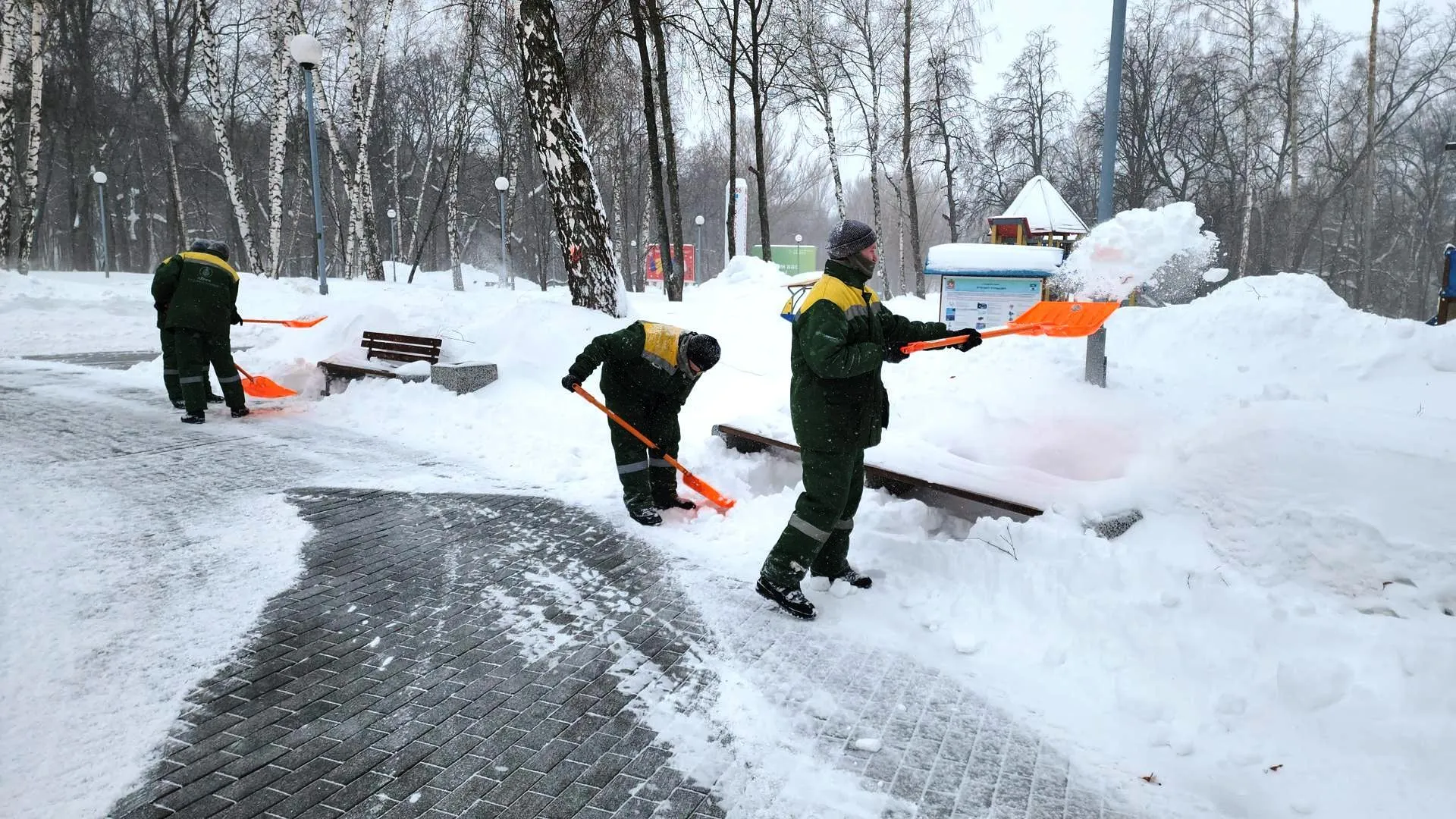 Медиабанк Подмосковья/Иван Дубров