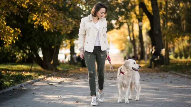 Фото: ru.freepik.com