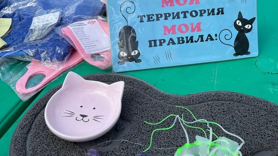 Фото: администрация г. о. Электросталь