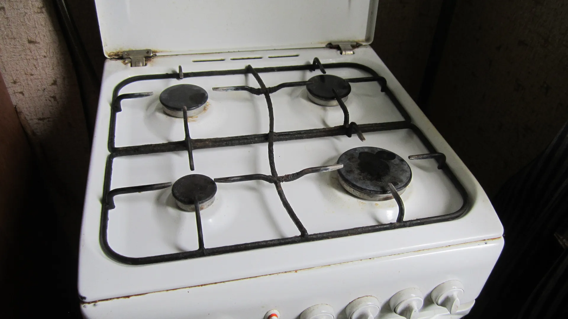 Фото: Олег Книжник